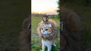 【伝説スレ】スク水事件からホーリー・ナイト誕生までｗｗｗ【厨二病】