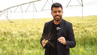 Global Agri-Food, une filiale de la société de Madar Holding
