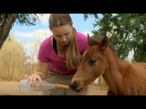 02 - Harnas - Abenteuer Afrika