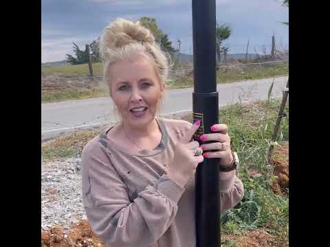 Misty's Flagpole From Service First