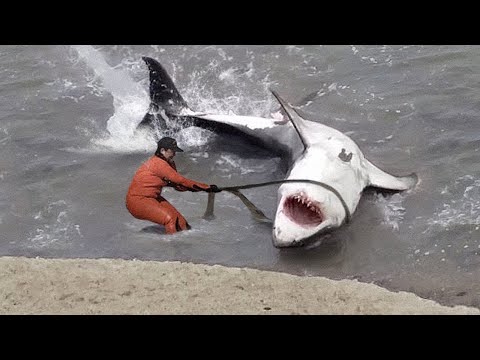 Momenty w Które Byście Nie Uwierzyli Gdyby Nie Zostały Nagrane - Część 7