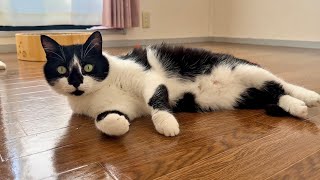 We Finally Moved Into Our New Home in Japan🇯🇵やっと、日本の新居にお引越ししました。