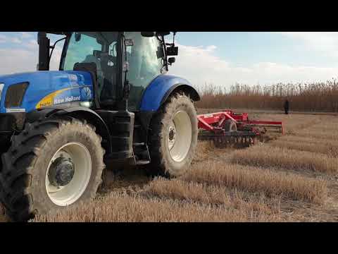 EFE  AKREP BAGIMSIZ KAUÇUK SÜSPANSİYONLU DISKARO