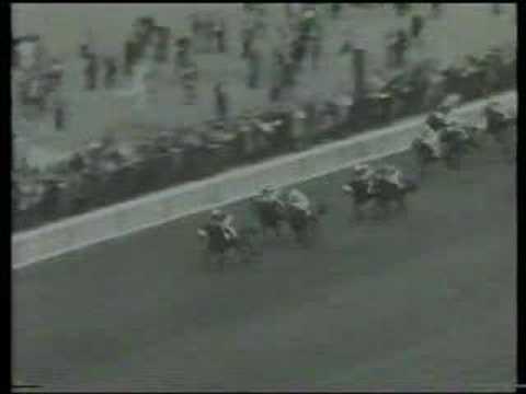 Allez France 'Arc' 1974