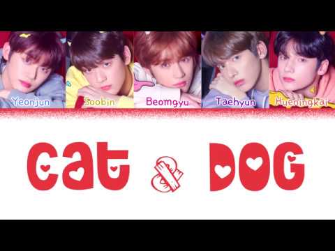 TXT (투모로우바이투게더) - 'CAT & DOG' (Color Coded Lyrics Eng/Rom/Han/가사)(CORRECTED IN COMMENTS)