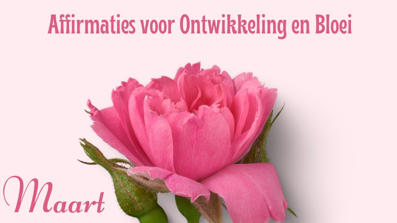 Maart: Tijd van Groei en Vernieuwing - Inspirerende Affirmaties voor Ontwikkeling en bloei