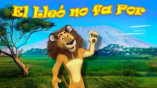El lleó no fa por