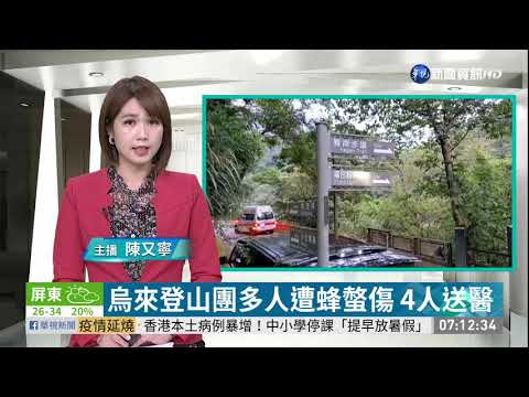 烏來登山團多人遭蜂螫傷 4人送醫