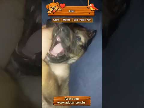 Vídeo de Julio 