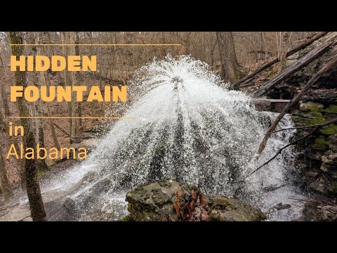 Sorgente e fontana nascoste del 1890 scoperte nei boschi dell'Alabama