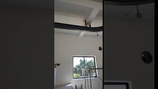 Industrial Workshop Used Monorail Overhead Crane