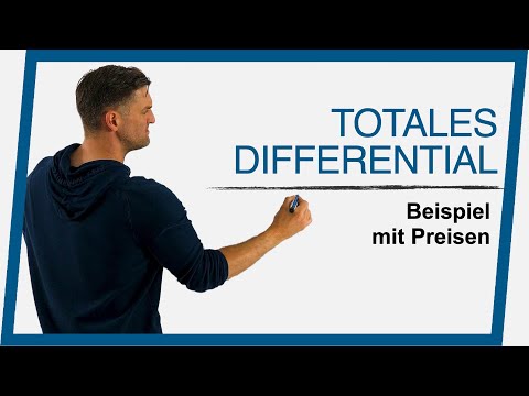 Total Differential Example with Prices | Math by Daniel Jung