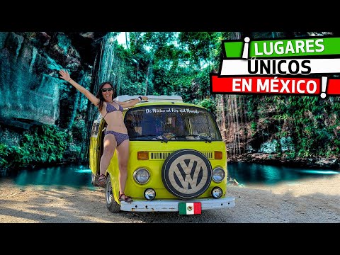🇲🇽Ruta en KOMBI de CENOTES ❰ TOUR por 3 CENOTES en TULUM🐠🏖️ ❱ | MÉXICO | (VLOG 186)
