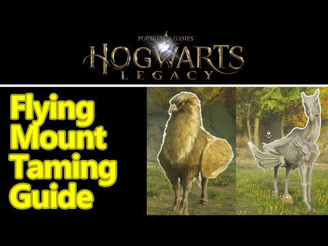 Hogwarts legacy how to get flying mounts and taming guide, Hippogriff and Thestral locations guide