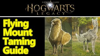 Hogwarts legacy how to get flying mounts and taming guide, Hippogriff and Thestral locations guide