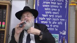 ט"ו חשון - יום פטירת החזון איש! ואיך זה קשור למלחמה - הרב מנחם שטיין #חרבותברזל #חזוןאיש#מלחמה