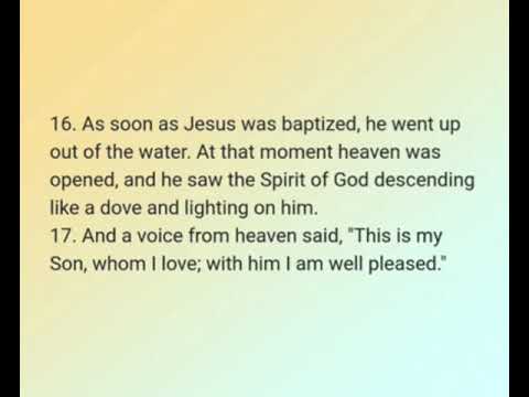 40-Matthew Chapters 1-13,  NIV Audio Bible with text