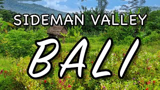 Bali's Sidemen Valley: A Journey into Paradise