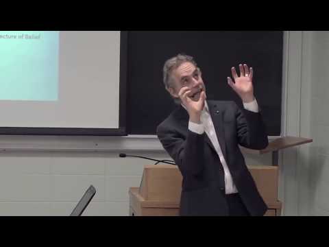 Jordan Peterson on How to rise to the Top of Social Hierarchy