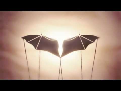 Delaney Bailey - How To (Official Video)