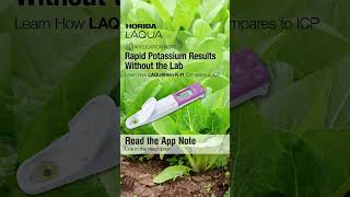 LAQUAtwin Potassium Ion Meter: Real‑Time Potassium Monitoring