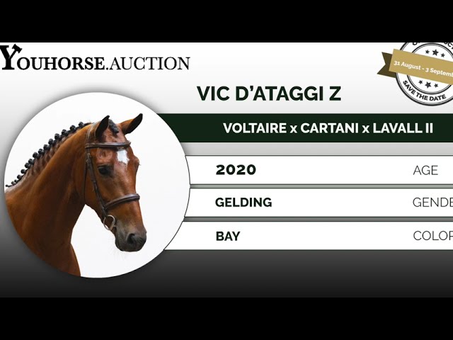 Vic d'Ataggi Z showvideo