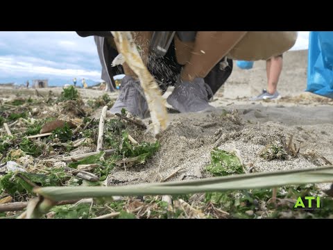 ATI Project & Legambiente