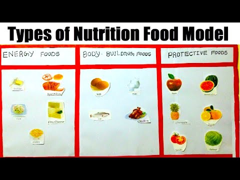 balanced diet working wheel model for healthy life science project howtofunda nutrition wheel