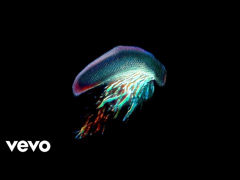 Video thumbnail for Off The Ground