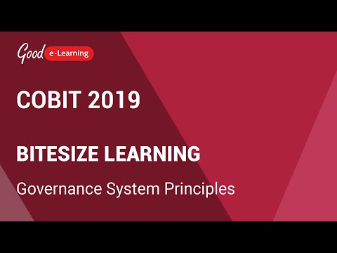 COBIT 2019 Bitesize Learning: Governance System Principles (COBIT 2019 tutorial)
