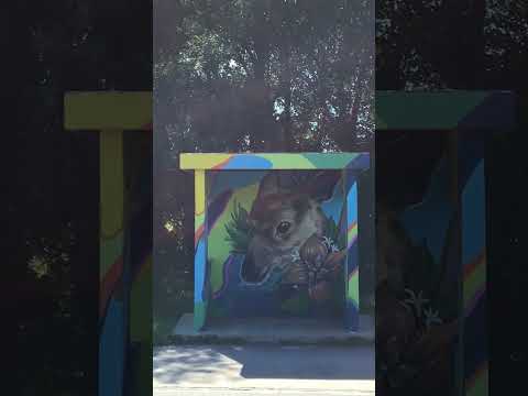 Parada de buses de  Villa Del Prado//Cordoba//Argentina.