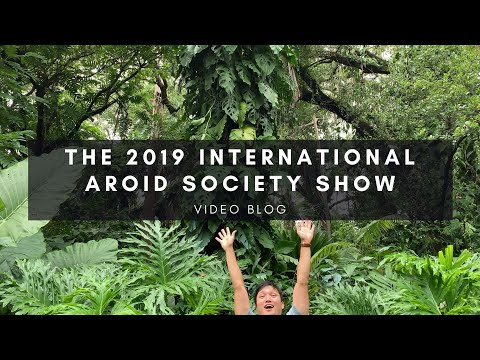 download lagu mp3 mp4 Ias Show, download lagu Ias Show gratis, unduh video klip Ias Show