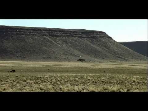 AFRICA LIGHT / GRAY ZONE - Unreleased Scenes