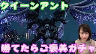 【リネ2M】今週のお楽しみ、血盟レイドのお時間です！vs クイーンアント [LIVE]