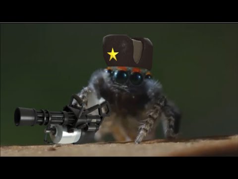 Spider Fortress 2: Heavy's Love Quest [TF2 DUB]