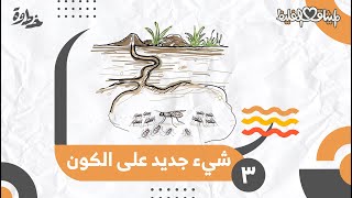 صورة القوامة أم شيء جديد على الكون ؟ | الميثاق الغليظ | الحلقة (٣)