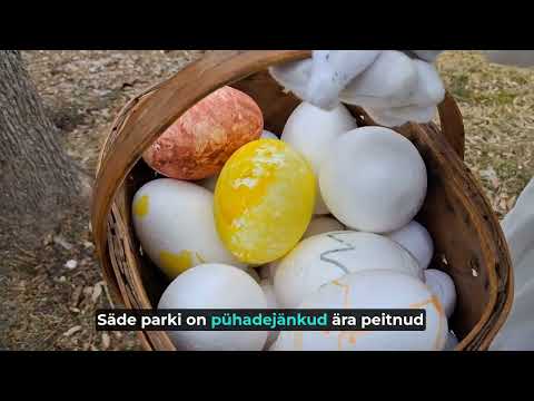 Munajaht Säde pargis 2026