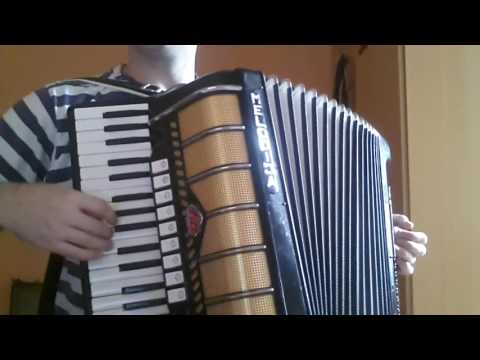 Karlo Bozic -Zivim (harmonika)