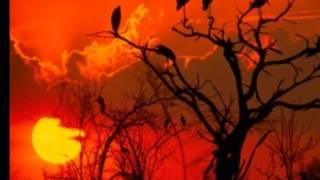 Malaika  Band: Malaika