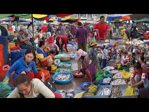 Chbar Ampov Fish Market Tours - The Second Site Distributes Fish, Dry Fish, Seafood & More Food