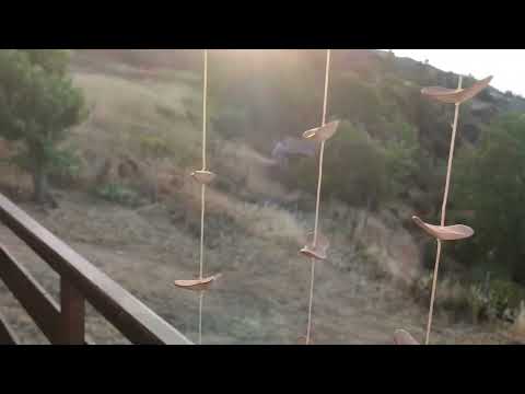 #greece #peloponnesos#travel#Akrata🌴#wonderful#summer