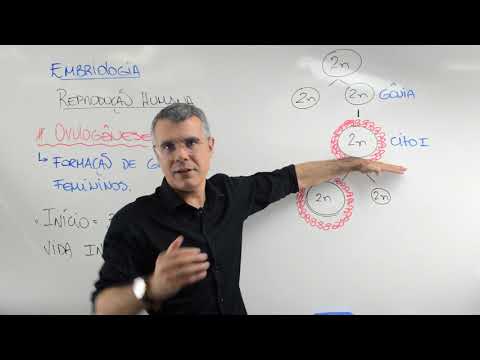 REPRODUÇÃO HUMANA / OVULOGÊNESE / Prof. Baraúna