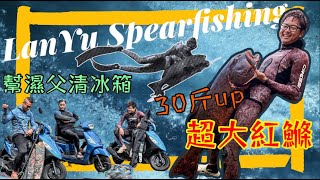 【海野人 Spearfishing 】蘭嶼之戰 台灣記錄 超巨大紅條 全過程 #自由潛水 #漁獵 #打魚 #夢幻魚 #澎湖 #潛打 #趕海 #魚風暴 #spearfishing #漁獵 #蘭嶼