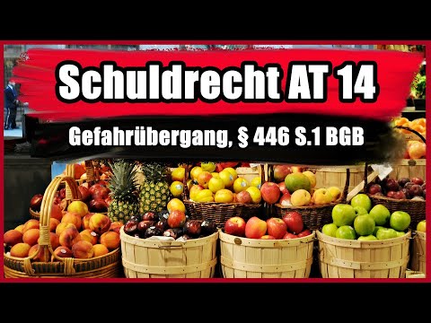 Gefahrübergang, § 446 S.1 BGB - Schuldrecht AT 14
