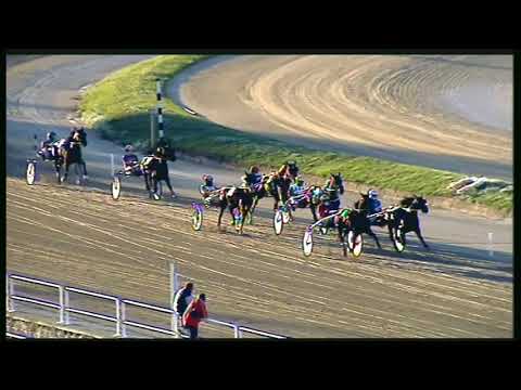 Trotto 09/10/2020 - prova di qualifica