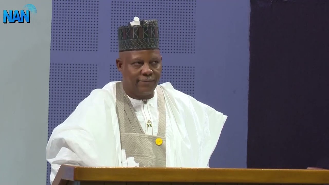 Shettima seeks international cooperation to combat global challenges