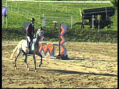 cassito       herrenzimmern