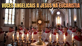 🔴 CORAL INFANTIL ADORANDO JESUS NA EUCARISTIA | VOZES ANGELICAIS (AO VIVO)