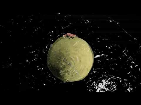 My Home Planet - The Burning Hell