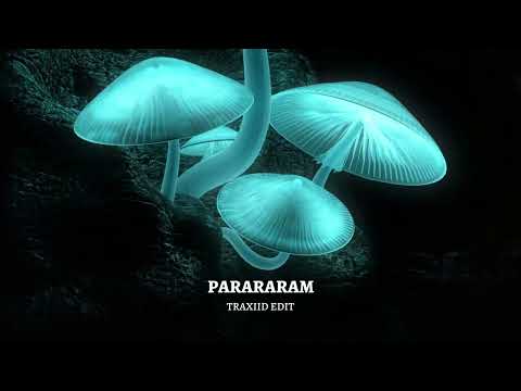PARARARAM - TRAXIID EDIT